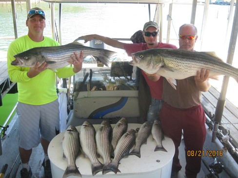 Nice Striped Bass